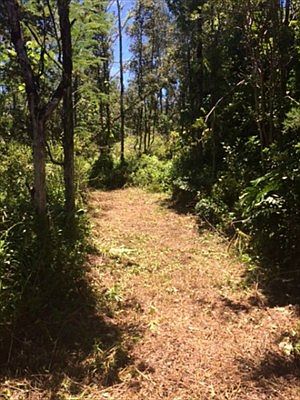 4th image of Puna St Lot 584