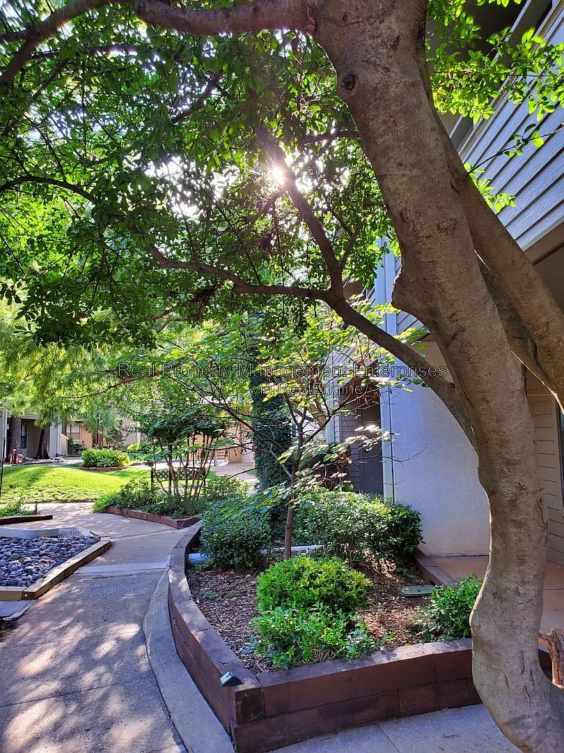1 bed, 1.0 bath, 625 sqft, $875 — Photo 2