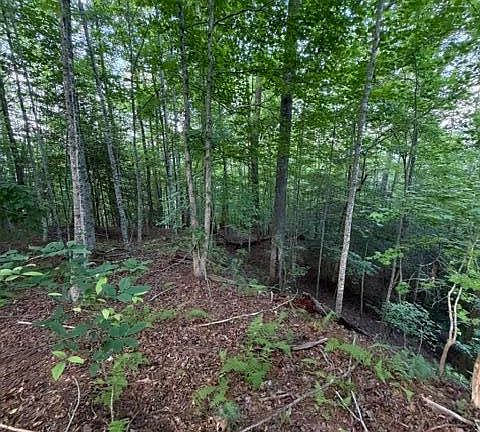 4th image of Lot 59 Quiet Mountain Trail