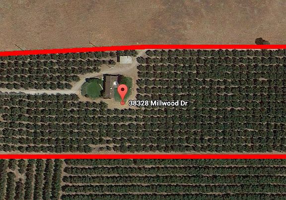 5th image of 38328 Millwood Dr