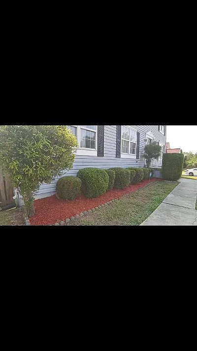 2298 Woodberry Dr photo 1