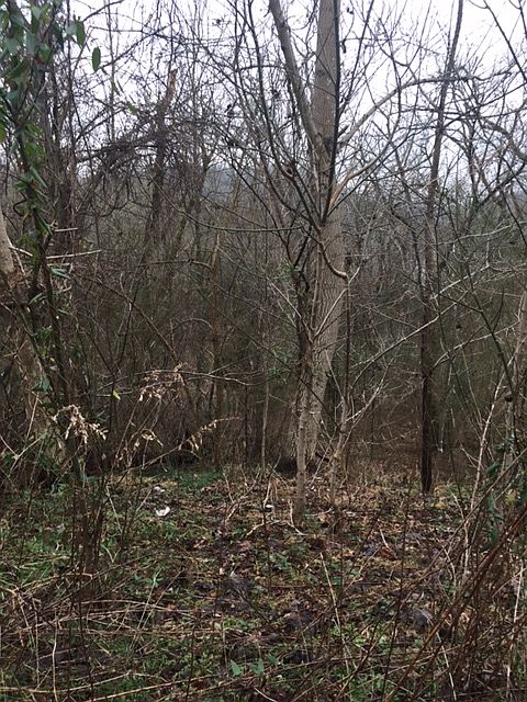 1st image of 1525 Shoreside Dr