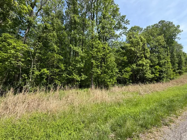 0 Tower Rock Rd, Elizabethtown, IL 62931