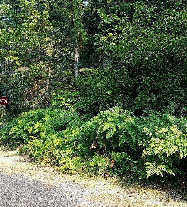 2nd image of 11302 115th Street Ct #Ai
