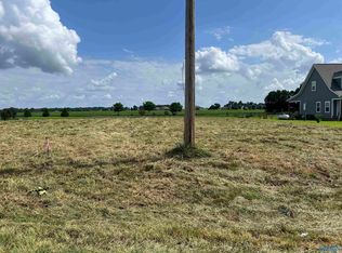 10074 Snake Rd, Athens, AL 35611