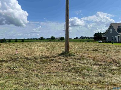10074 Snake Rd, Athens, AL, 35611