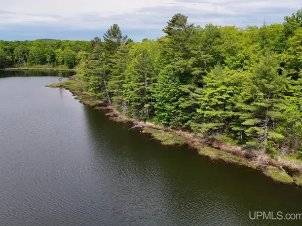 Tbdc Off Winona Rd, Toivola, MI 49965