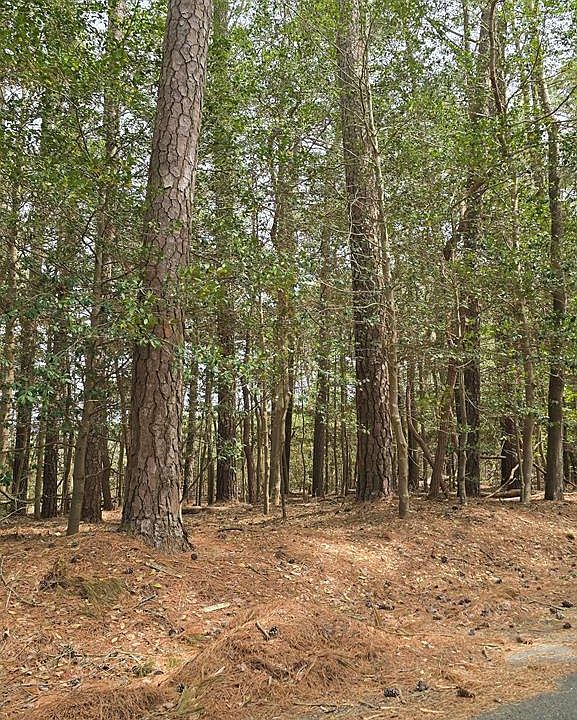 1st image of 92 Folly Creek Rd #92