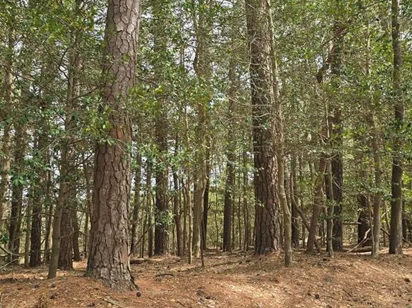 92 Folly Creek Rd #92, Accomac, VA 23301