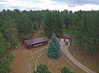 12210 Tweety Bird Ln, Custer, SD 57730