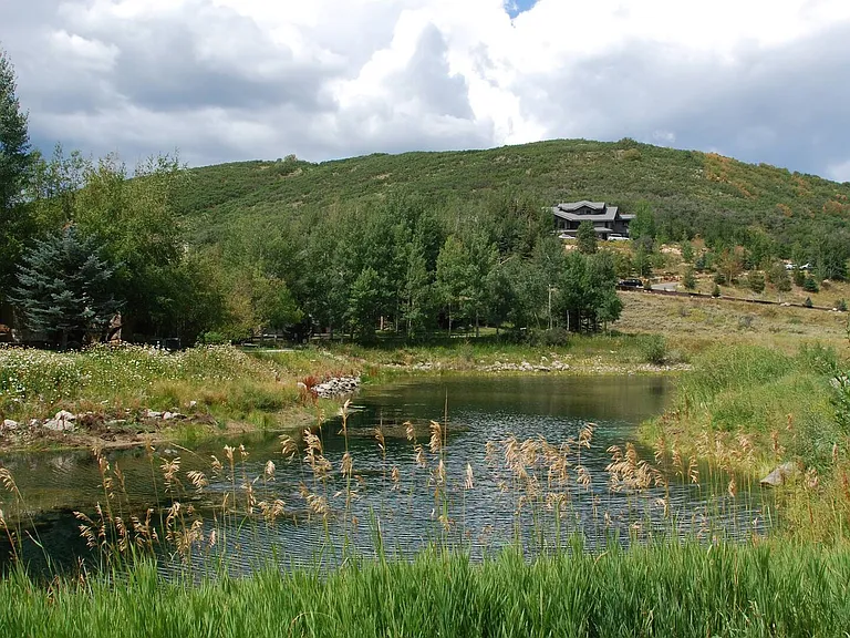 2410 Deer Lake Dr — Photo 11