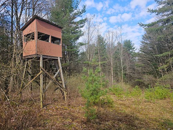 4th image of 0WP Furman Rd