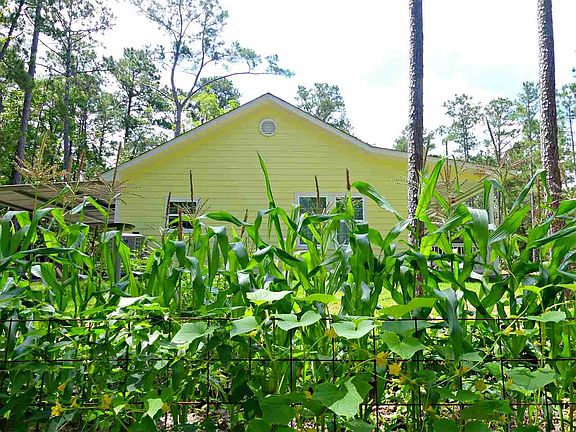 5th image of 888 Pinehurst Dr