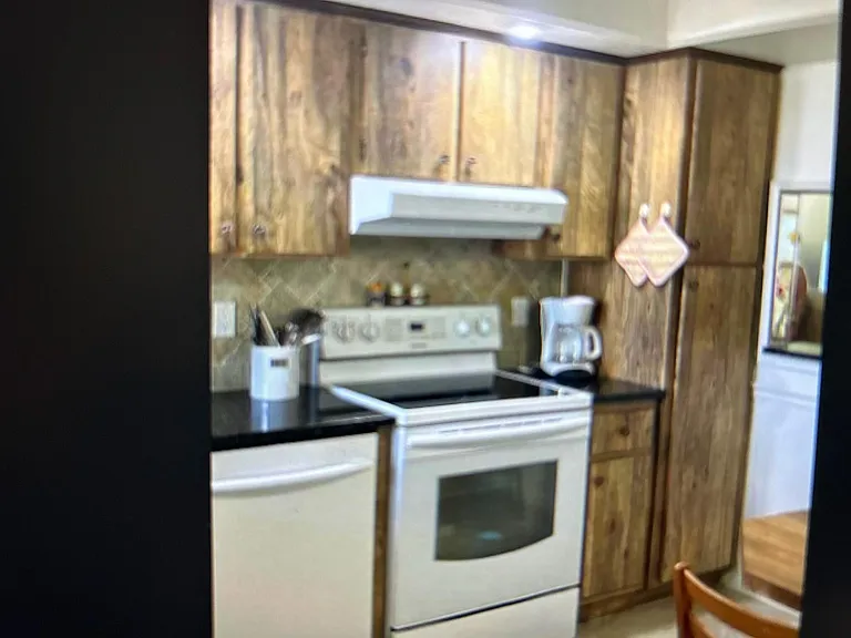 3212 Strawflower Way — Photo 8