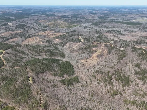 Mid Walter Rd, Gordo, AL 35466