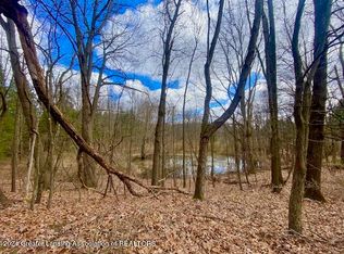 PARCEL B/C Bath Rd, Perry, MI 48872