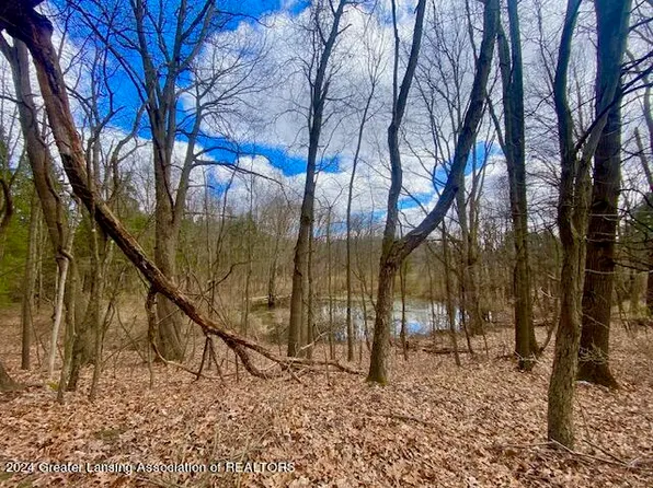 PARCEL B/C Bath Rd, Perry, MI 48872