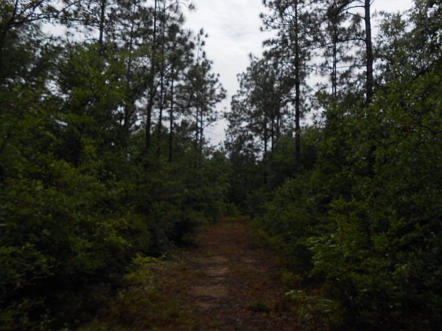 2nd image of 51 Elsie Davis Rd