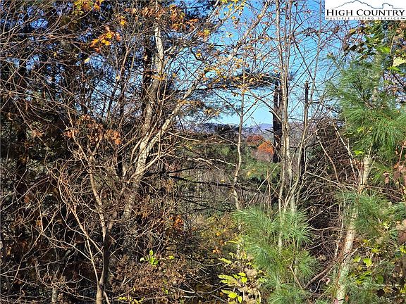 2nd image of 474E Ray Miller Rd