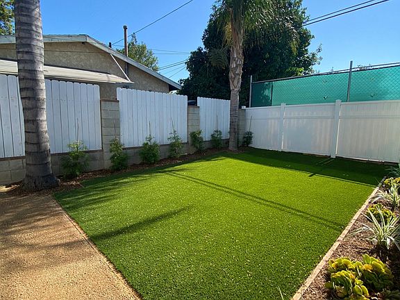 Side Yard. Surrounding plants are currently larger.