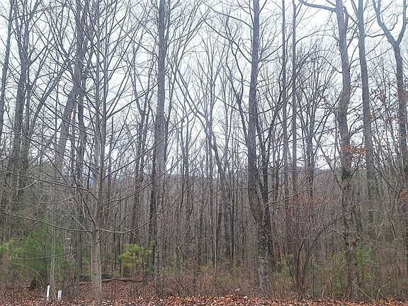 3rd image of LOT 158 Trailwood Dr Lot 158