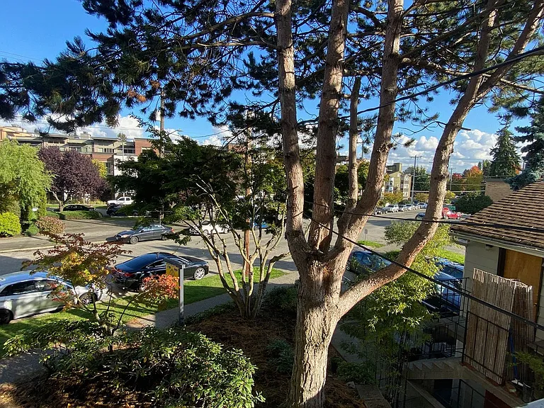 5307 Live Close To University Village And Uw! — Photo 31