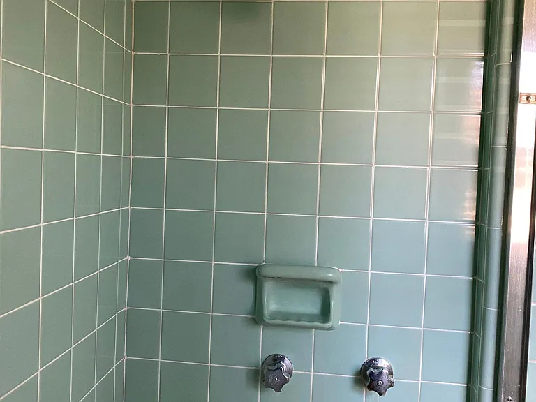 Master shower. No tub