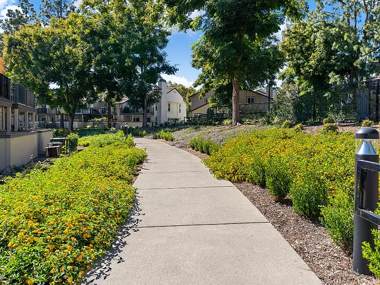 Vineyard Courtyard Walkway