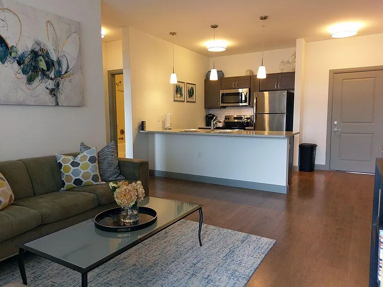Georgia kitchen and living space