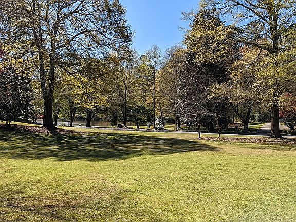 view from front to pond