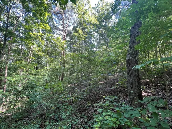 0 Nottingham Way Lot 17, Fairmount, GA 30139