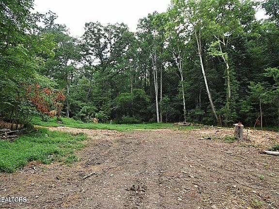 2nd image of 0 Early Rd #4
