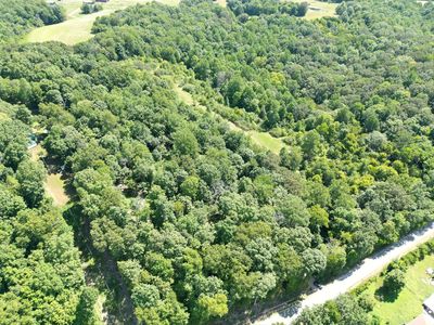 3585 Lewis Atkins Rd, Woodlawn, TN, 37191