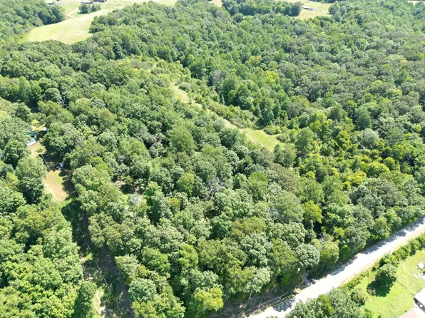 3585 Lewis Atkins Rd, Woodlawn, TN 37191