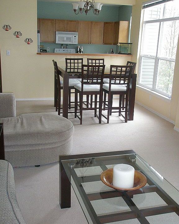 Huge living room and dining room with windows at every turn. Very bright!!