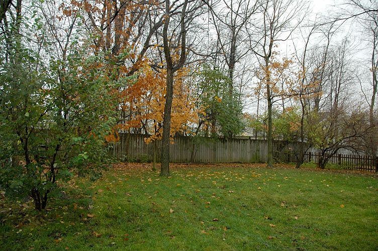 Back Yard Privacy