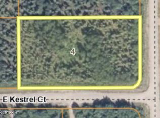 15049 E Kestrel Ct, Willow, AK 99688