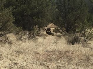 LOT 1 E Elk Dr LOT 1, Ramah, NM 87321