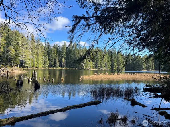 0 NE Lake Christine Road, Tahuya, WA 98588