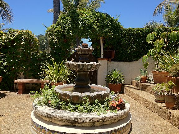 look close and see our birds!!