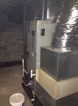 4th image of 1304 Iris Ave