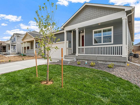 Elevation Image 3.