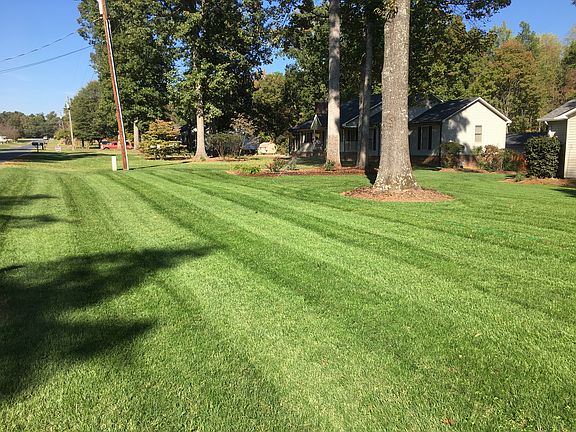 Front Lawn