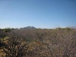 1st image of 1399x E Casey Lane #219-39-015K
