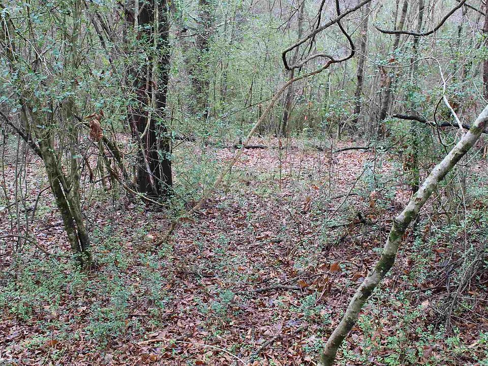 2nd image of 396 Ashley Ln