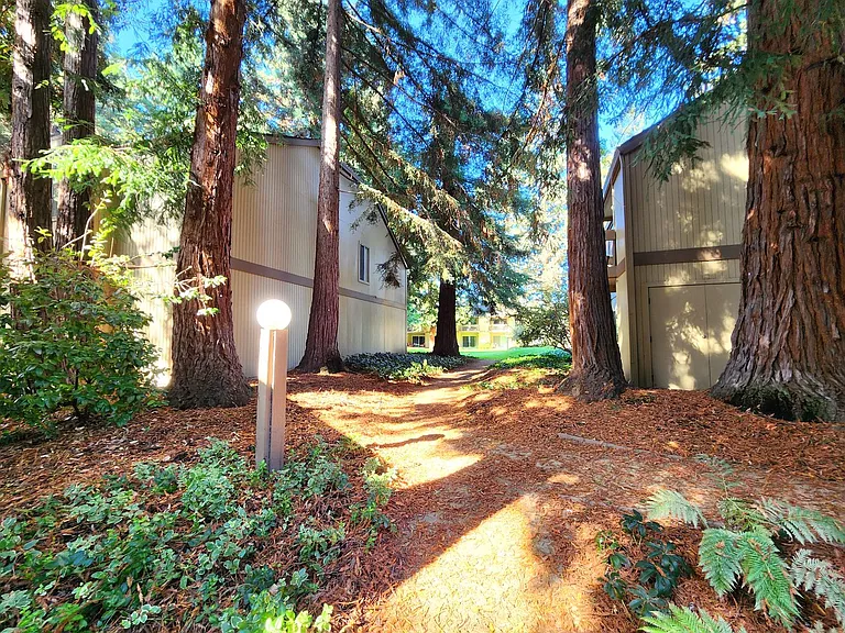 505 Cypress Point Dr #209 — Photo 30