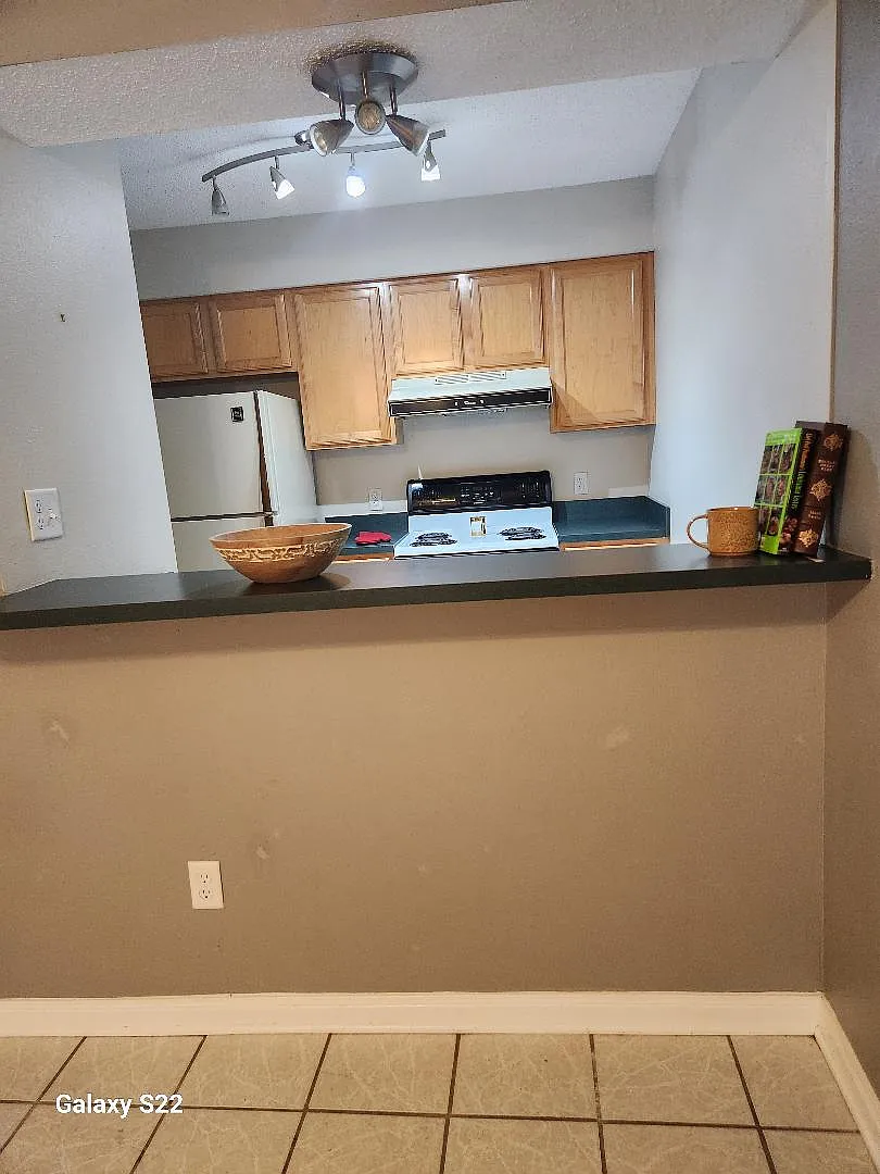 161 Sandra Del Mar Dr — Photo 2