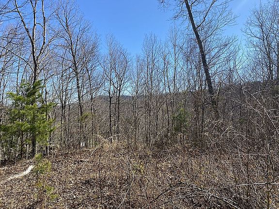 3rd image of 1092 Duck Run Rd
