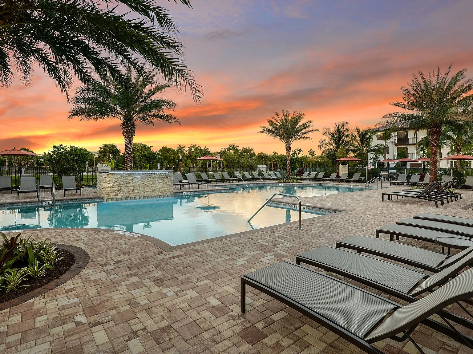Palm Ranch — Photo 2