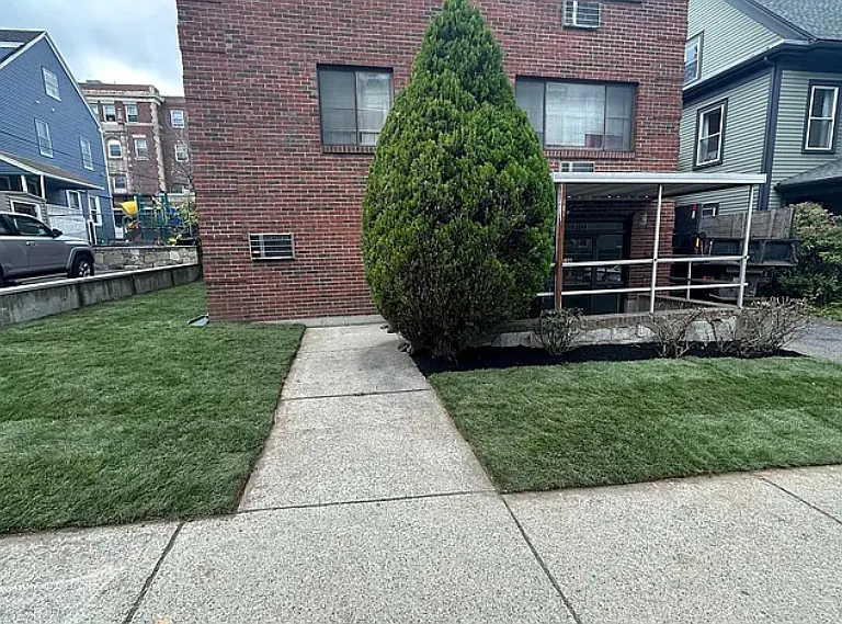 136 School St #102 — Photo 1